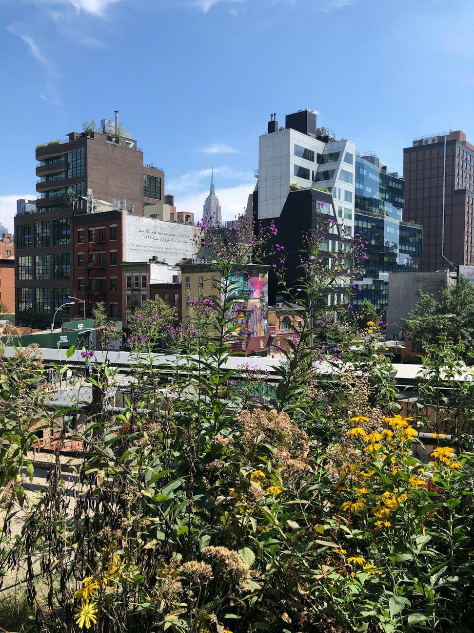Rooftop garden
